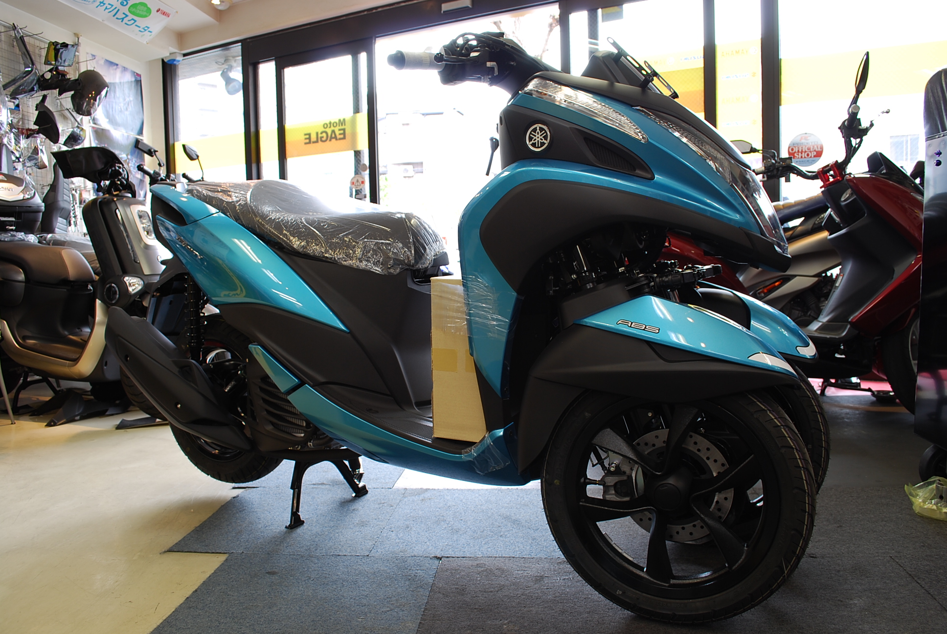 トリシティ　2018 004